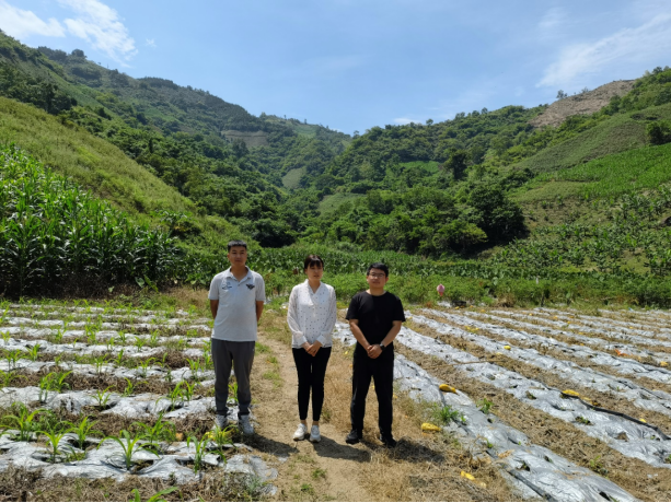 1675913486195952.png image.png