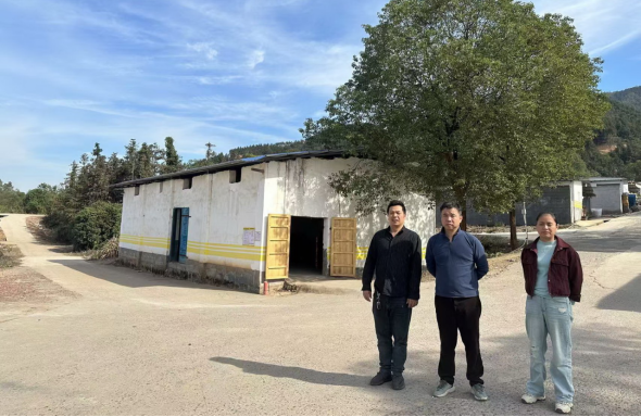 1734928580451018.jpg 1734928545424.jpg