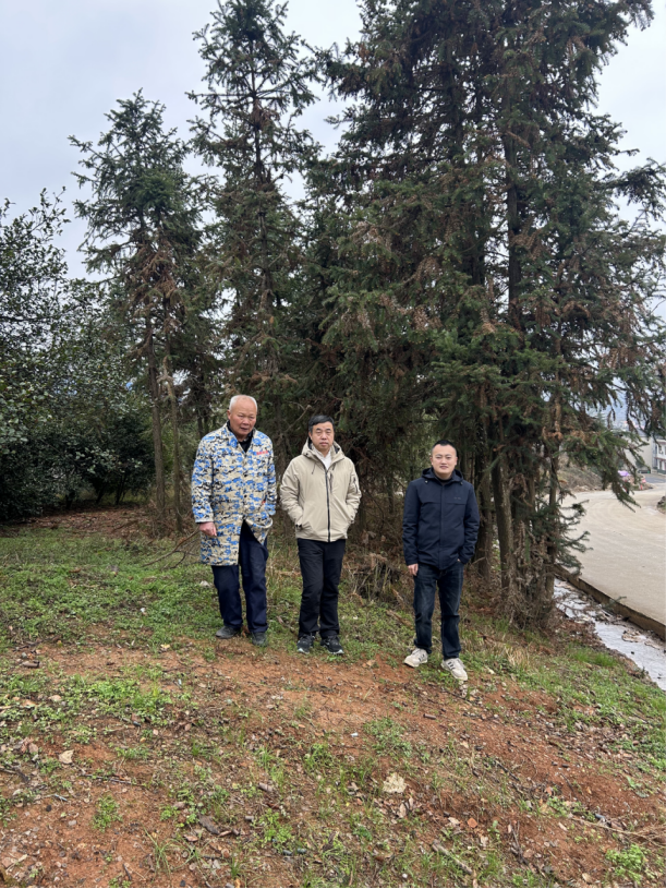 1770258713989921.png 590f218e-f575-4a56-9767-a732126f9309.png